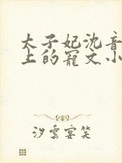 太子妃沈音和皇上的宠文小说