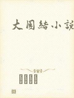 大团结小说阅读