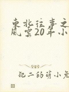 东北往事之黑道风云20年小说