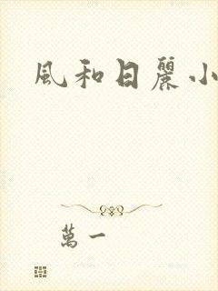 风和日丽小说