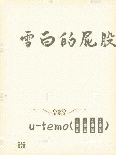 雪白的屁股小说