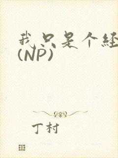 我只是个经纪人(NP)