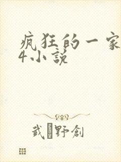 疯狂的一家ps4小说