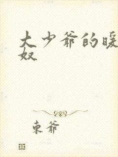 大少爷的暖床小奴