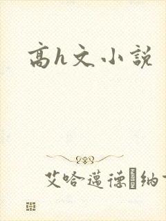 高h文小说