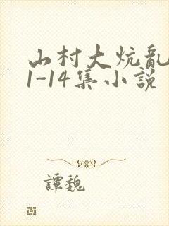 山村大炕乱肉续1-14集小说
