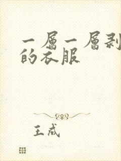 一层一层剥开我的衣服