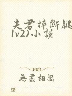 夫君摔断腿后(1v2)小说