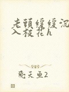 老头缓缓沉腰进入校花h