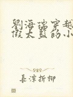 刘海瑞穿越后宫假太监的小说