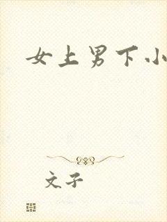 女上男下小说