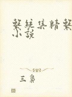 系统集精系统 小说