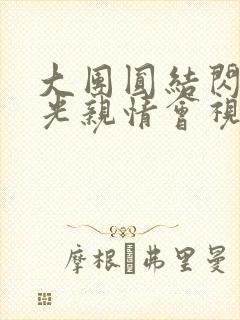 大团圆结闪闪发光亲情会视频