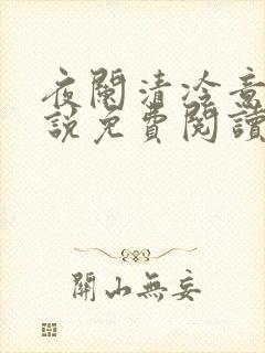 夜阑清冷意欢小说免费阅读