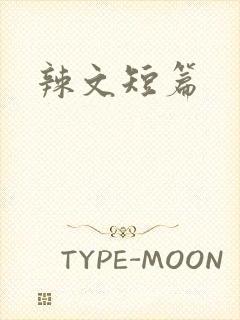 辣文短篇