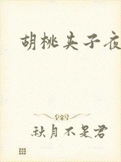 胡桃夹子夜未眠