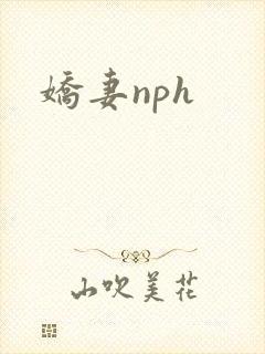 娇妻nph
