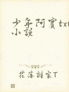 少年阿宾txt小说