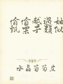 偷偷越过她by甄栗子类似小说