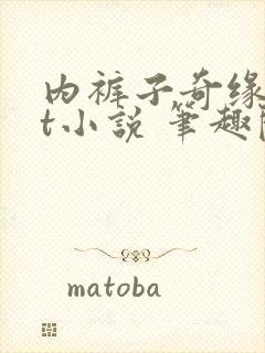 内裤子奇缘txt小说 笔趣阁