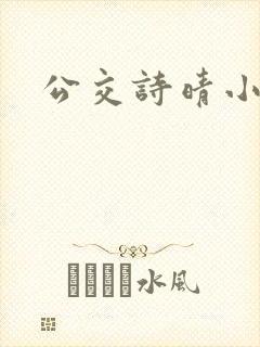 公交诗晴小说