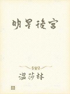 明星后宫
