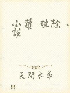 小萝 破除 小说