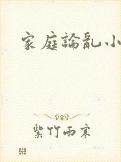 家庭论乱小说