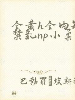 全黄h全肉短篇禁乱np小柔