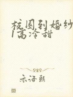 校园到婚纱1V1高冷甜