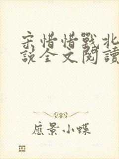 宋惜惜战北望小说全文阅读