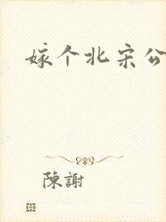 嫁个北宋公务员