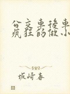 公交车后车座的疯狂的做小