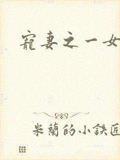 宠妻之一女二夫