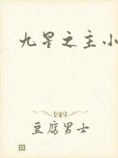 九星之主小说