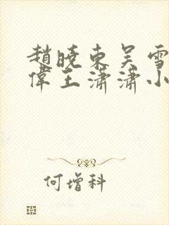 赵晓东吴雪晴郑伟王潇潇小说名字