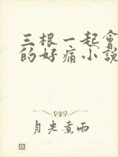 三根一起会坏掉的好痛小说