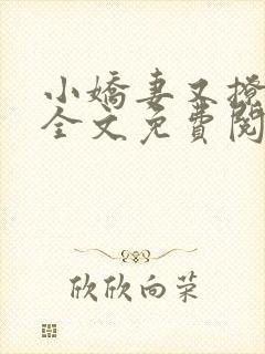 小娇妻又撩又甜全文免费阅读