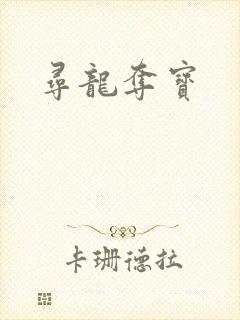 寻龙夺宝