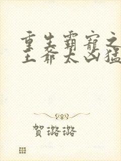 重生霸宠之摄政王爷太凶猛