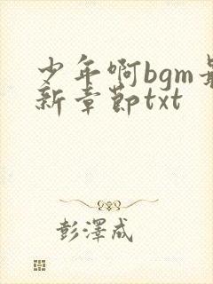 少年啊bgm最新章节txt