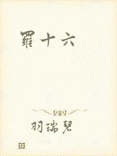 罗十六