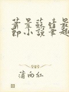 萧晨苏晴最新章节小说笔趣阁