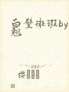 白璧微瑕by连翘