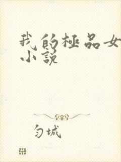 我的极品女老师小说