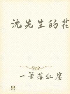 沈先生的花式调