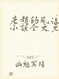 老赵的风流人生小说全文免费阅读