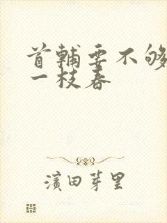 首辅要不够po一枝春