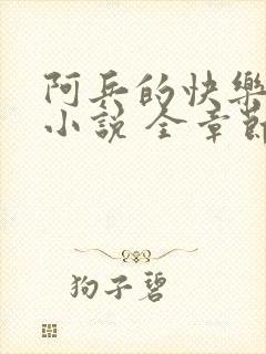 阿兵的快乐生活小说 全章节阅读免费