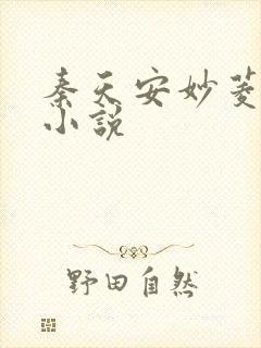 秦天安妙菱修仙小说